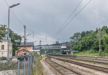 Tocht Te voet Gemeinde Tullnerbach - Tullnerbach (Bhf Tullnerbach-Preßbaum) - Wolfsgraben - Photo