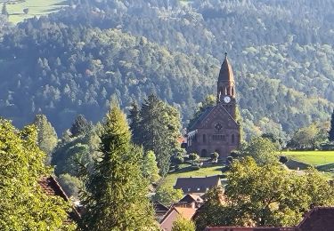 Trail Walking Metzeral - Kerbholz depuis Metzeral - Photo