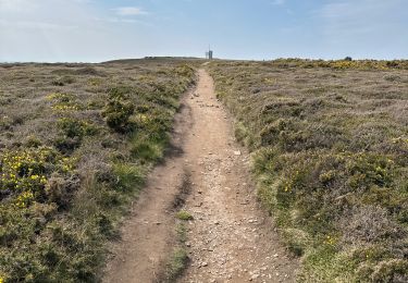 Trail sport Crozon - Cap de la chèvre - Photo