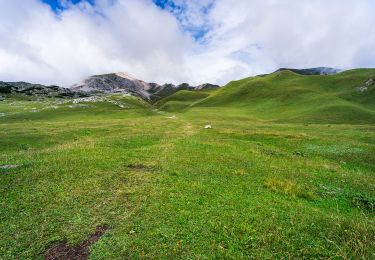 Trail On foot Marèo - Enneberg - Marebbe - IT-27 - Photo