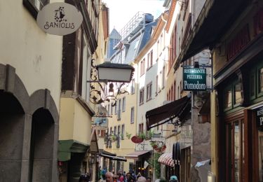 Trail Walking Cochem - A la découverte de Cochem et de son château 🥾 - Photo
