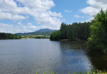 Randonnée Marche Aubusson-d'Auvergne - Aubusson l'Auvergne - Photo