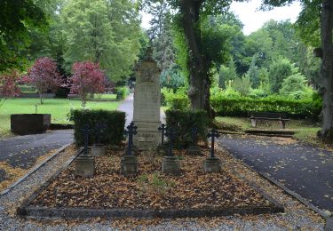 Trail On foot Veitsrodt - Saar-Hunsrück-Steig Zuwegung Historische Weiherschleife - Photo