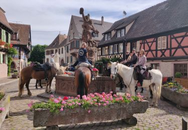 Trail Horseback riding Kaysersberg-Vignoble - 000004 - Photo