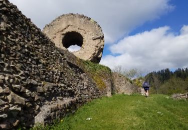 Excursión Senderismo Thann - Thann Molkenrain Freundstein - Photo