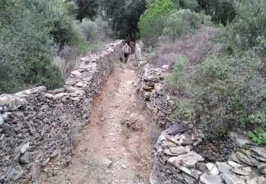 Trail Walking Llançà - Llencai Port de la Selva - Photo