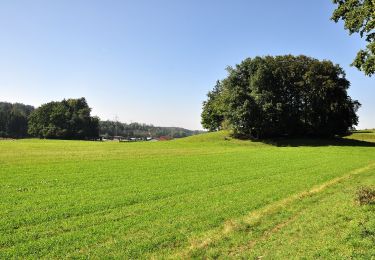 Tocht Te voet Fehraltorf - Fehraltorf - Pfäffikon - Photo