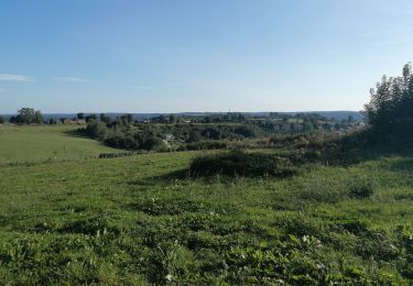 Tocht Stappen Bouillon - Belle rando très sportive au départ de Rochehaut  - Photo