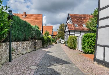 Randonnée A pied Tecklenburg - Teutoschleifchen Modersohns Spuren - Photo