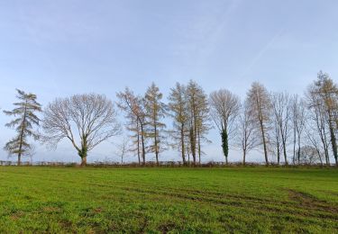 Randonnée Marche La Calamine - la calamine - château thor / retour  - Photo