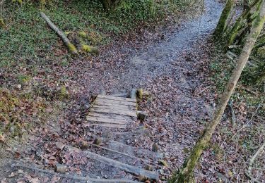 Tour Wandern Chavanod - chavanod gorges du fier - Photo