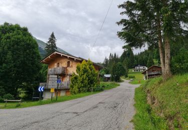 Tocht Stappen La Clusaz - Les Converses, Le Planet, Beauregard, les Corbassières (boucle) - Photo