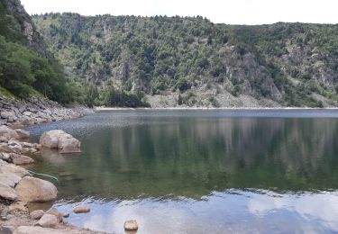 Trail Walking Orbey - Tour de lac Noir et du Lac Blanc  - Photo