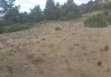 Tour Wandern Jonchères - sand - Photo