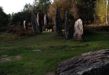 Tour Wandern Monteneuf - alignement Monteneuf - Photo