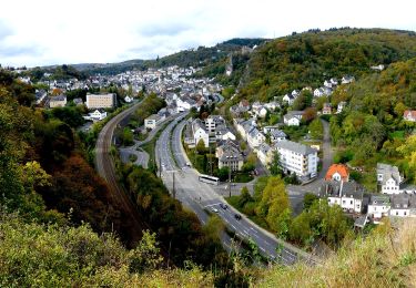 Tour Zu Fuß Idar-Oberstein - Saar-Hunsrück-Traumschleife: Nahe-Felsen-Weg - Photo