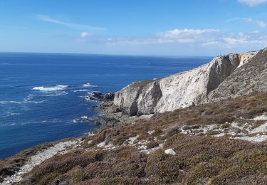 Excursión Senderismo Crozon - cap de la chèvre depuis maison des minéraux  - Photo