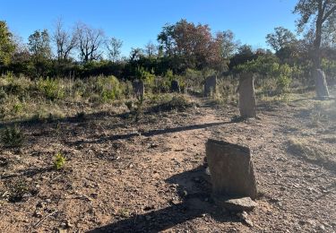 Trail Walking Les Arcs-sur-Argens - Les Arcs : Pont d'Aille et Castel Diou - Photo