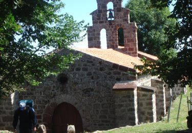 Tour Wandern Le Puy-en-Velay - LePuyenVelaySaintPrivatdAllier - Photo