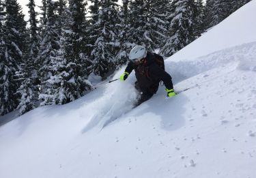 Tour Zu Fuß Disentis - Caischavedra - Bostg - Photo