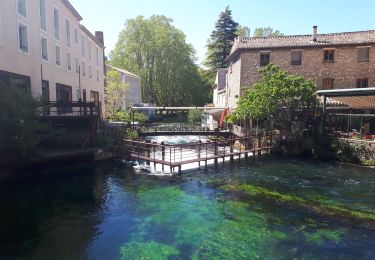 Tour Wandern Cabrières-d'Avignon - carrière mûr de la peste - Photo