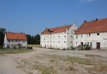 Excursión A pie Starczówek - Paczków-Ziębice - Photo