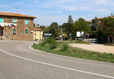 Tocht Te voet Scansano - Trekking di Montorgiali Polveraia - Photo