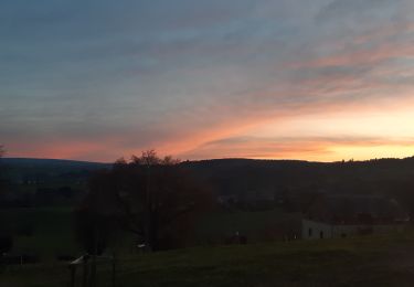 Trail Walking Theux - entre tancremont et banneux - Photo
