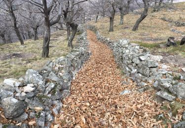 Randonnée Marche Burzet - Burzet -Les Sausses-Aubert-Burzet-La Valette - Photo