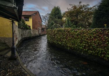 Excursión A pie Villareggia - Mazze', ponte sulla Dora Baltea, bivio110-Candia Canavese - Photo