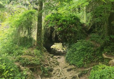 Tour Wandern Roquefort-les-Cascades - Roquefixade Alain G - Photo