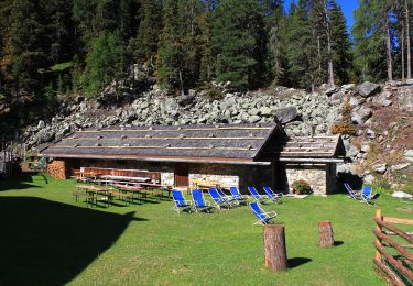 Tour Zu Fuß Naturns - Almenweg - Photo