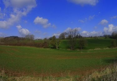 Randonnée V.T.T. Mettet - VTT de l'abbaye de Brogne au 7meuse - Photo