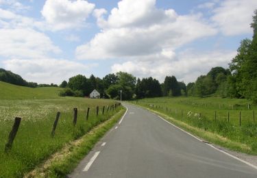 Tour Zu Fuß Steinhagen - Amshausen Rundweg A4 - Photo