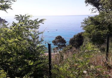 Randonnée Cyclotourisme Cavalaire-sur-Mer - 83 Var Cavalaire a Val cote Brignoles J5/6 - Photo