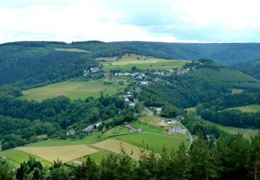 Tour Zu Fuß Simmerath - Eifelverein OG Eicherscheid - Weg 26 - Photo