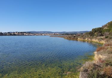 Trail Walking Peyriac-de-Mer - Salin de Peyrac - Photo