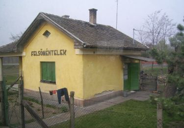 Randonnée A pied Kecskemét - Z+ (Méntelek) - Photo