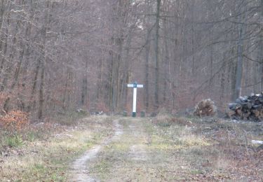 Tour Zu Fuß Pont-Sainte-Maxence - petite remise en forme - Photo