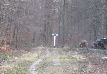 Percorso A piedi Pont-Sainte-Maxence - petite remise en forme - Photo