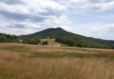 Trail Walking Grandfontaine - Positions fortifiées du Donon sentier des casemates - sud - Photo