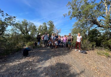 Tocht Stappen Pierrefeu-du-Var - LA PORTANIÈRE LE FEDON - Photo