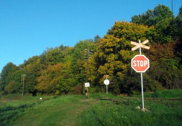 Tour Zu Fuß Bezirk Karpfen - Náučný chodník Koháryho dub - Photo