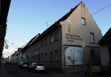 Randonnée A pied Ingelheim am Rhein - Kaiserpfalzweg - Photo