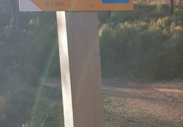 Tour Wandern Bagnols-en-Forêt - Blavet - Photo