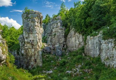 Excursión A pie okres Levoča - Sivá Brada - Dreveník - Photo