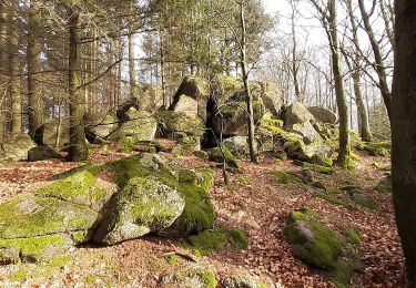 Tocht Te voet Rimbach - Rundwanderweg Rimbach Im Kreuz 9: Trommweg - Photo