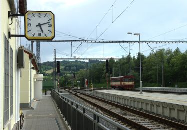 Tocht Te voet Olbramovice - [Ž] Olbramovice - Maršovice - Photo