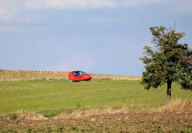 Percorso A piedi Erbach - Rundwanderweg Erbach 6 - Photo