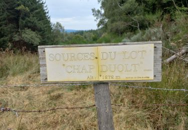 Tocht Stappen Mont Lozère et Goulet - Le Bleymard - Photo